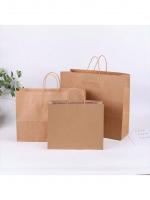 Kraft paper bag with twisted handle