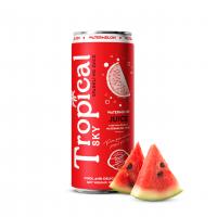 Manufacturing Sparkling fresh fruit juice drinks 330ml can Tropical Sky brand