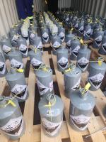 Buy Silver Liquid Mercury