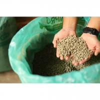 Arabica Green Coffee Beans