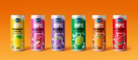 OEM Vietnam beverage supplier Nata de Coco mix NFC Orange juice packing Canned