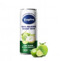 OEM manufacturer of 100% Coconut water packing 250ml/330ml/500ml Tropical sky beverage