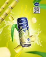 OEM supplier 100% natural Sugarcane juice drink from Vietnam