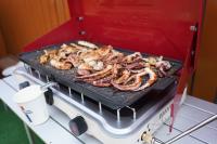 Portable Gas Stove