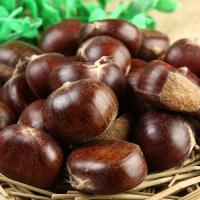 Sweet and Fragrant Chestnuts