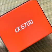 Sony a6700 Mirrorless Camera