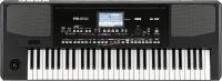 Korg PA300 61-Key Arranger Keyboard