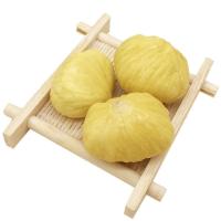 Sweet and Fragrant Chestnut