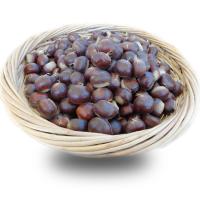 Sweet and Fragrant Chestnut