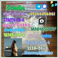 Brand new bmk powder pmk oil pmk powder bmk oil