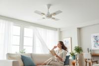 Ceiling Fans