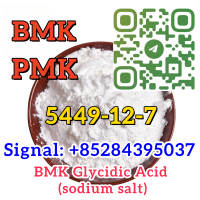 Cas 5449-12-7 New BMK sodium salt  Europe warehouse