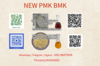 NEW PMK BMK CAS 5449-12-7 Ethyl Glycidate Manufacture Fast Delivery    852 98475209