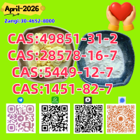 Hot selling cas 28578-16-7PM.K and BM.K cas5449-12-7