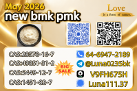 NEW CAS 28578-16-7 PMK/5449-12-7 BMK / 49851-31-2/1451-82-7