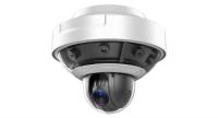 Panoramic IP Cameras