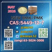 BMK Glycidic Acid (sodium salt) CAS 5449-12-7 Bmk Powder BMK Oil