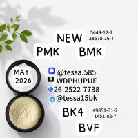 28578-16-7 PM.K Custom Chemical Synthesis Supplier Factory Direct   BM.K 5449-12-7 and 49851-31-2