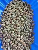 Robusta green coffee beans