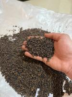 Black pepper 550 gl