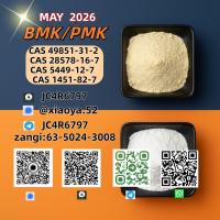 Buy 28578-16-7 PMK Chemical Suppliers Factory Direct Supply 5449-12-7 In Bulk