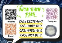 China Reliable Supplier PM.K CAS 28578-16 -7