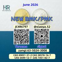 New 5449-12-7 BMK Powder 28578-16-7 PMK Oil Doorstep Service