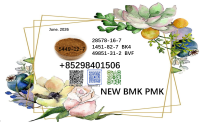 28578-16-7 BMK oil cas 5449-12-7 PMK powder 1451-82-7 for selling