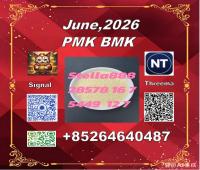 Raw material supply chain 5449-12-7 BM.K PLUS 28578-16-7 PM.K