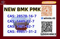 China Reliable Supplier PM.K CAS 28578-16 -7