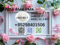 Hot sale BMK 5449-12-7 and 28578-16-7 PMK factory
