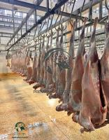 Halal Chilled Goat, Beef, and sheeps Meat