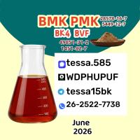 CAS 5449-12-7oil  BMK Glycidic Acid sodium salt 99% High Purity oil  Global Chemical Supplier