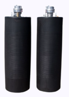 INFLATABLE BALLOON STOPPERS AND TEST PLUGS