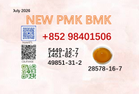 Available immediately cas 5449-12-7/28578-16-7 BMK PMK powder BVF BK4