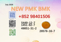 Best quote cas 5449-12-7/28578-16-7 BMK PMK oil powder with certificate