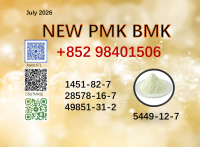Riginal Manufacturer CAS 28578-16-7 BMK Powder 5449-12-7 PMK Oil 1451-82-7/ 49851-31-2
