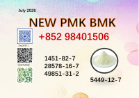 Top sellers cas 28578-16-7 BMK oil cas 5449-12-7 PMK powder manufacturer