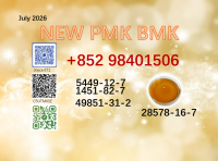 Best price CAS 28578-16-7 BMK CAS 5449-12-7 factory supply 49851-31-2 /1451-82-7