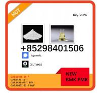 5449-12-7 and 28578-16-7 BMK 1451-82-7 49851-31-2 PMK with best price