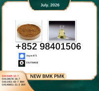 5449-12-7 BMK PMK 28578-16-7 factory supplier 1451-82-7/ 49851-31-2 with best price