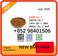 5449-12-7 cas 28578-16-7 BMK PMK powder ready to ship