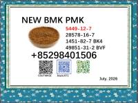 1451-82-7 cas 28578-16-7 PMK 5449-12-7 factory wholesale in stock
