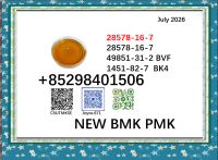 5449-12-7 cas 28578-16-7 BMK PMK hot sale 1451-82-7 and 49851-31-2