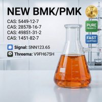 PMK CAS 28578-16-7 Internal Record