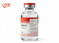 Pentobarbital for sale in Spain | Pentobarbital for sale in Germany | Pentobarbital for sale for sale Italy