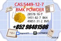Certificated BMK 5449-12-7 Sodium Salt Factory Supply