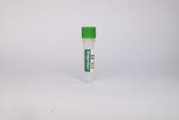 Inorganic Pyrophosphatase