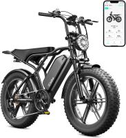TsT Electric Bike 48V 15/25 Ah Battery 2000W Peak Motor 28MPHElectric Dirt Bike