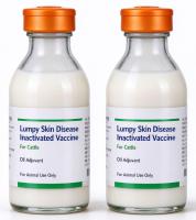 Lumpy Skin Disease Inactivated Vaccine for Cattle, Bovine LSD Inactivated Veterinary Vaccine